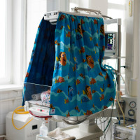 Blinds on resuscitation table 